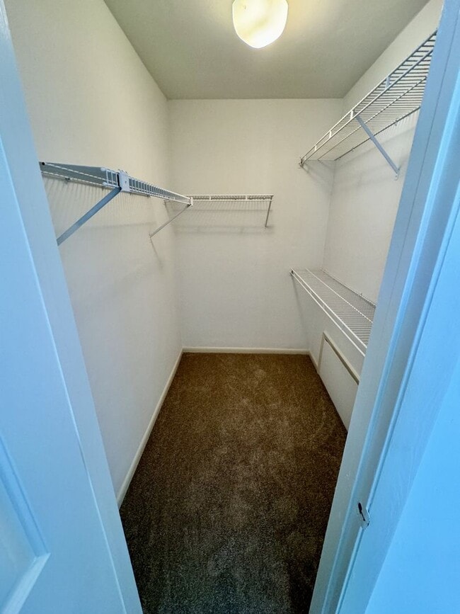 Building Photo - LYNNHAVEN SHORES - Starfish Condo