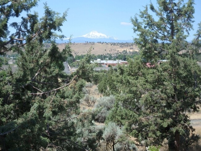 Building Photo - Executive Suite/Vacation/Short Term Rental 30-90 days