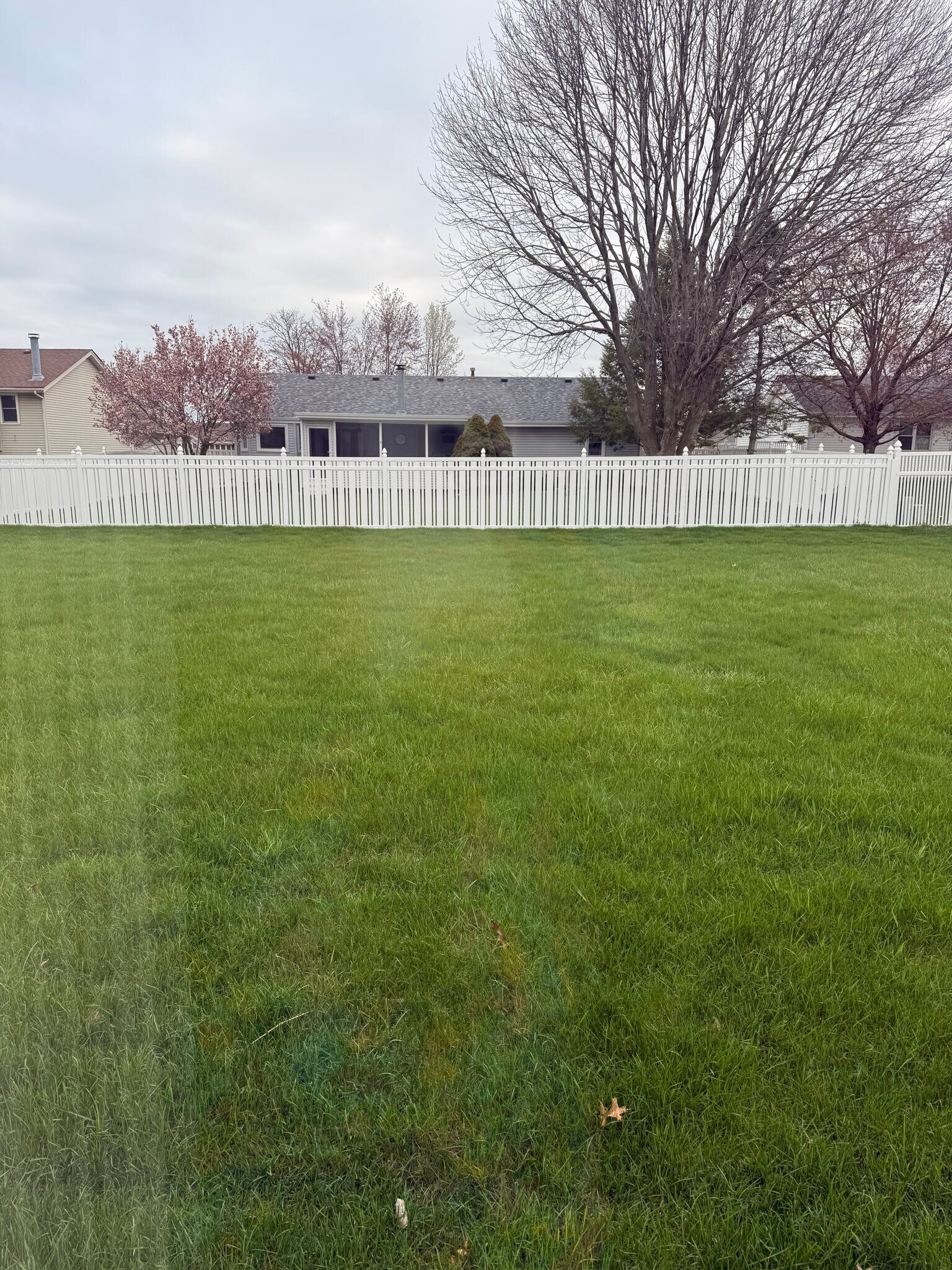 Building Photo - 7079 Sue Ct