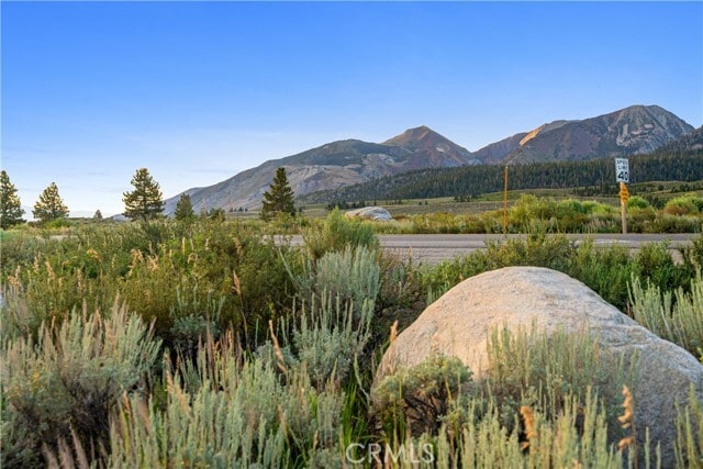 Building Photo - 595 Waterford Ave