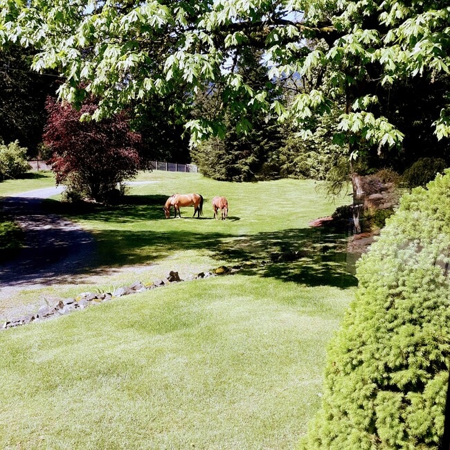 View on property with security - 15812 451st Ave SE