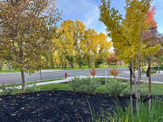 Building Photo - 372 S Caballo St