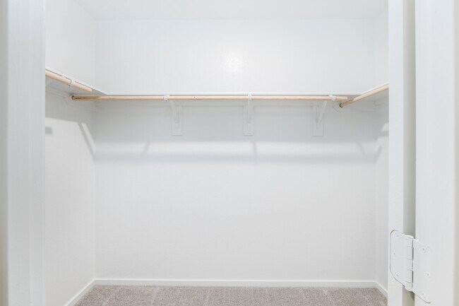 Building Photo - 2614 Rain Quail Ct