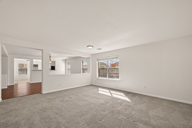 Building Photo - 4719 Silver Spruce Ln