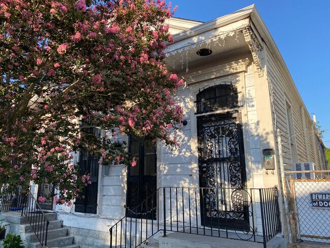 Building Photo - 1232 Touro St