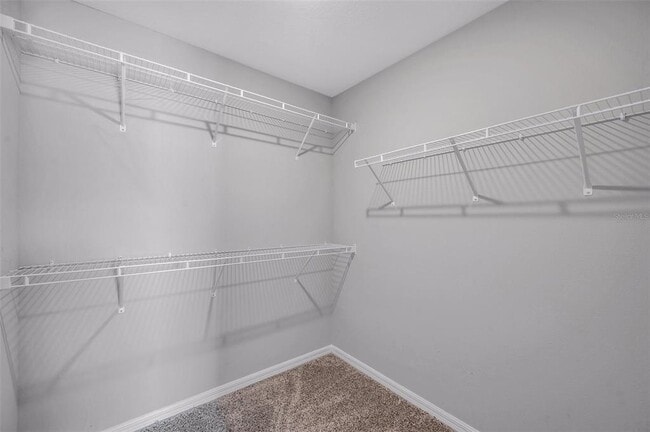 Building Photo - 7705 Momentum Pkwy