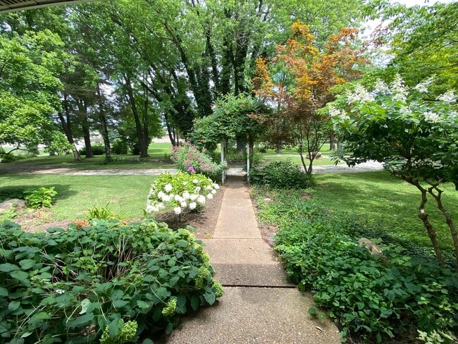 Building Photo - Coming Soon!!! Beautiful, Picture Perfect ...
