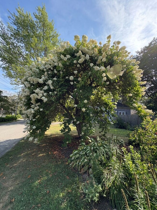 Building Photo - Cozy 3-Bedroom 1.5 -Bathroom Home with Fen...