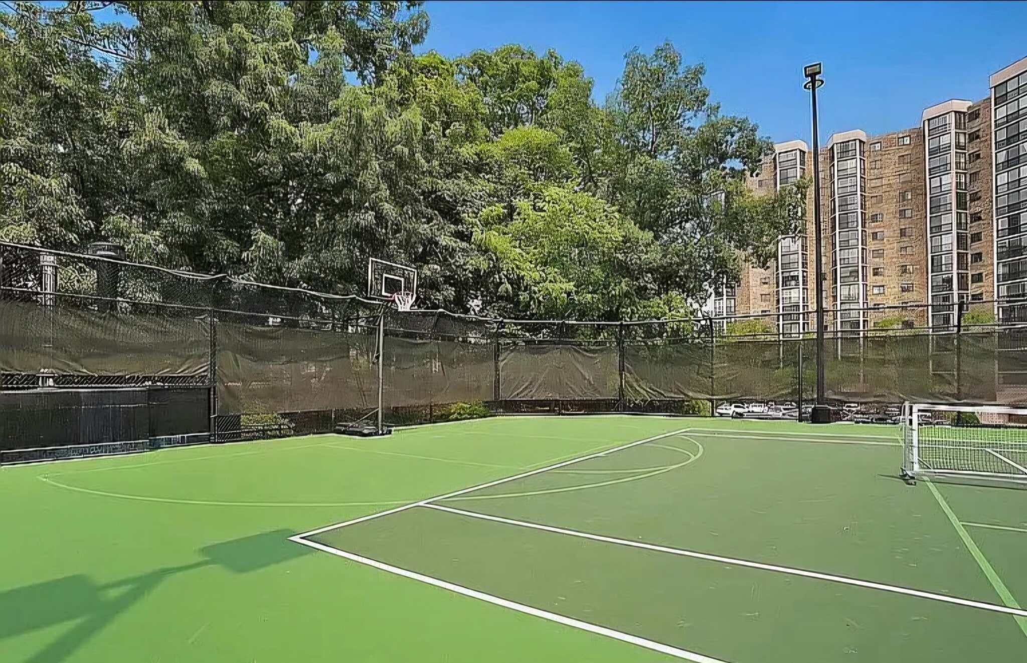 Basketball hoop - 5901 Mt Eagle Dr