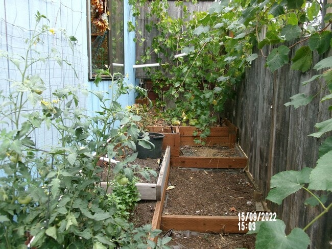 Building Photo - Cozy furnished unit-Philomath