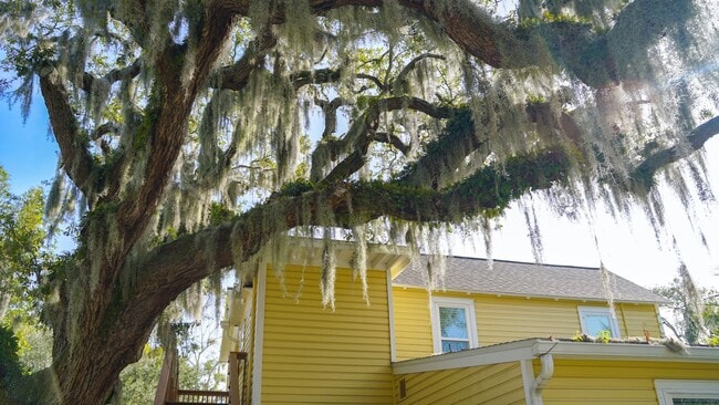 Building Photo - 14 Sanchez Ave