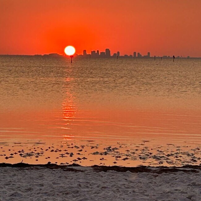 Building Photo - 3216 Mangrove Point Dr