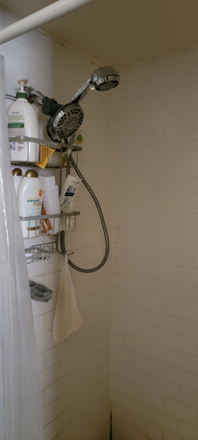 SHOWER - 1345 S Mansfield Ave