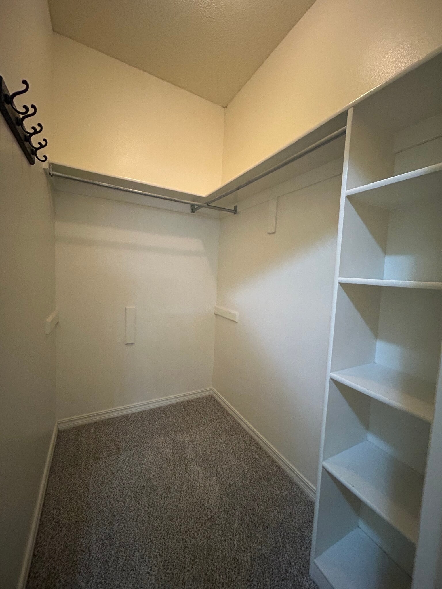 Main closet 2 - 8709 Canopy Oaks Dr