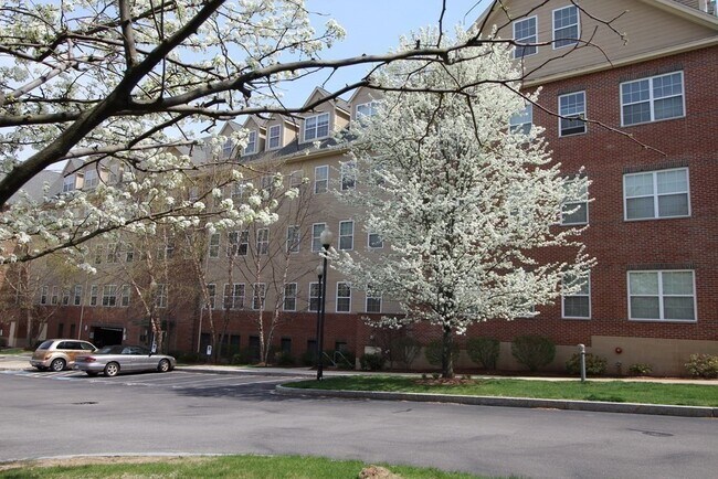 Building Photo - 1 Powder Mill Square