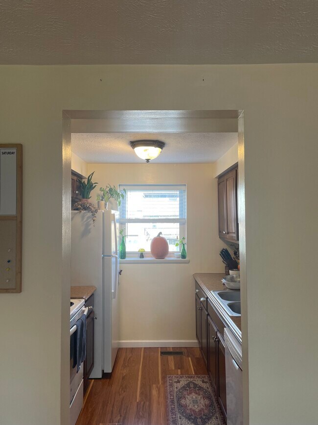 Kitchen1 - 505 Bayberry Ln