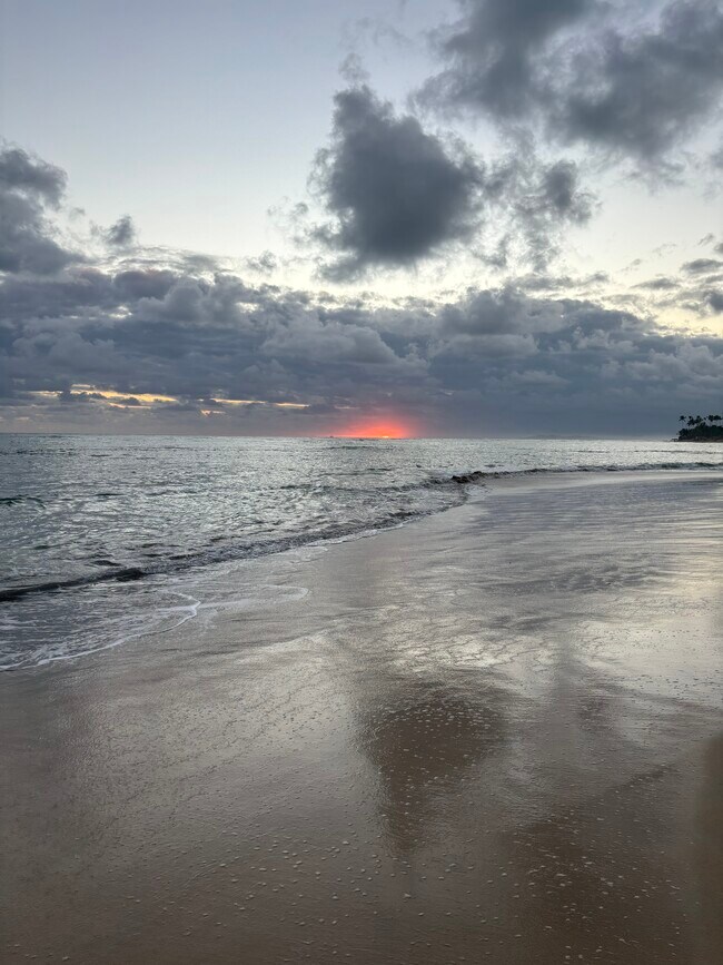 Building Photo - 2703 W Medill Ave