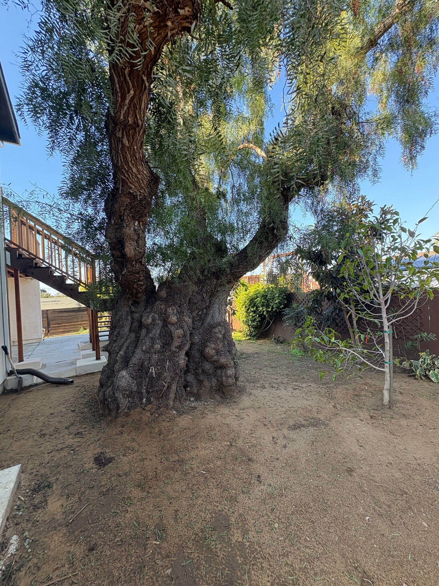 Building Photo - 4617 Del Monte Ave