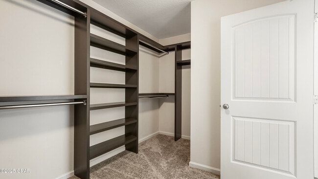 Building Photo - 3214 Caitlin St