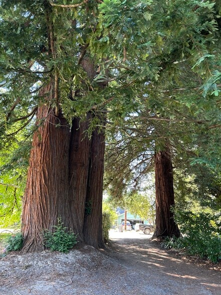 Building Photo - 8360 Medved Ln