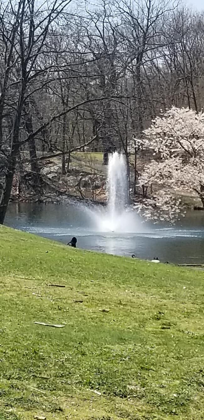 Building Photo - 23 Desmond Rd