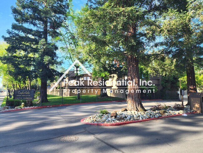 Building Photo - Updated Timberlake 1bd/1ba Condo - Near Sa...