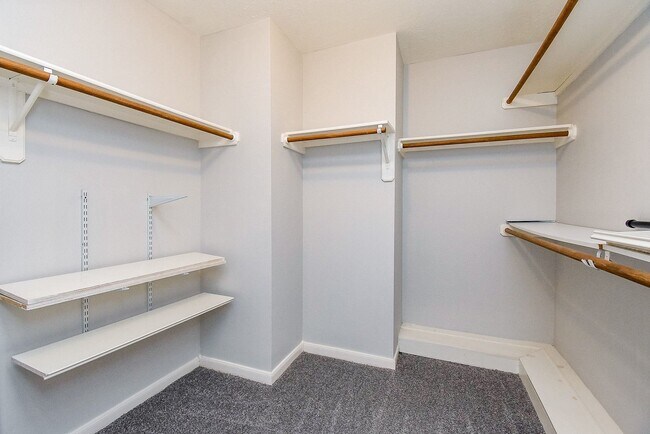 Building Photo - 2810 Grassy Knoll Ct