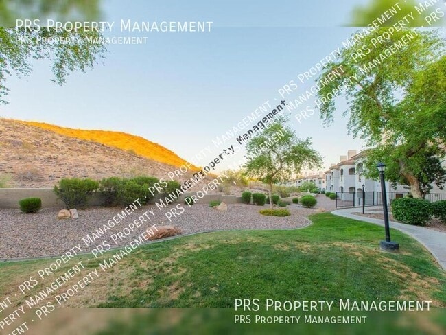 Building Photo - 3236 E Chandler Blvd