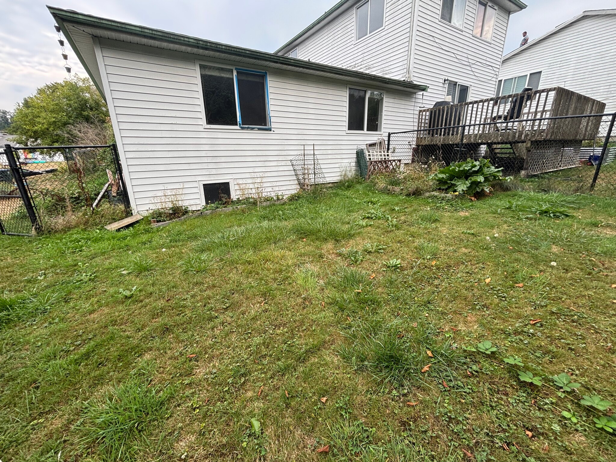 Yard Area - 2420 Claudia Ct