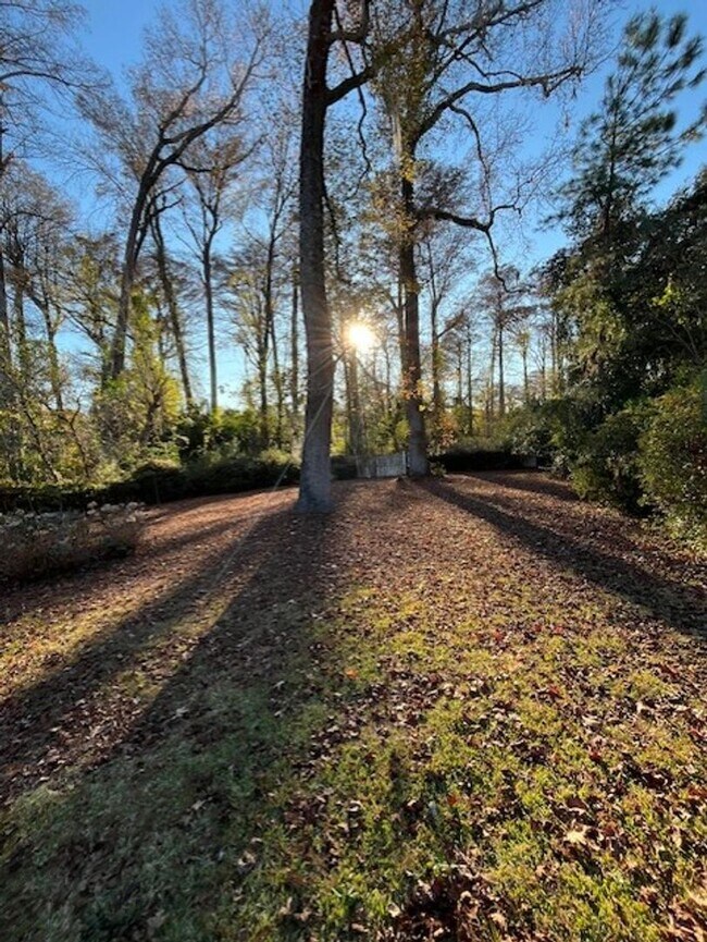 Building Photo - Beautifully Updated House in Forest Hills!