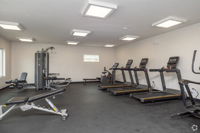 Fully Equipped Fitness Center - EOS 75