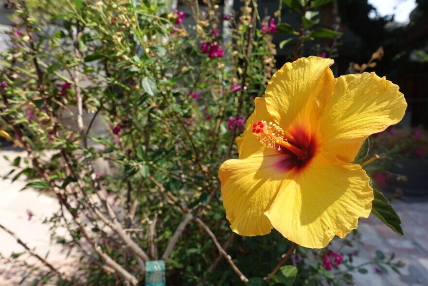 Building Photo - 575 Valle Vista Ave