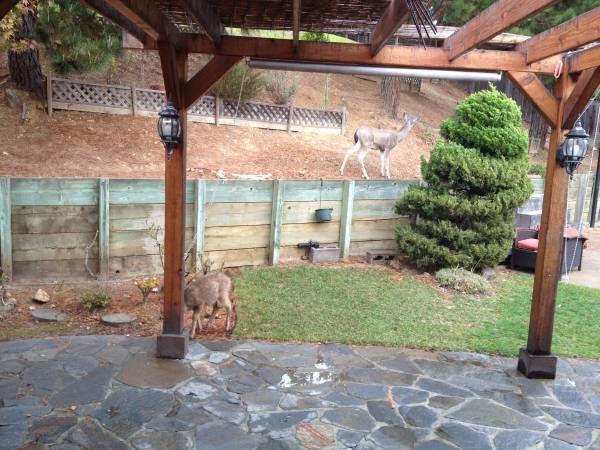 Building Photo - Prestige Oakland Hills House For Rent - 3 Beds, 2.5 baths