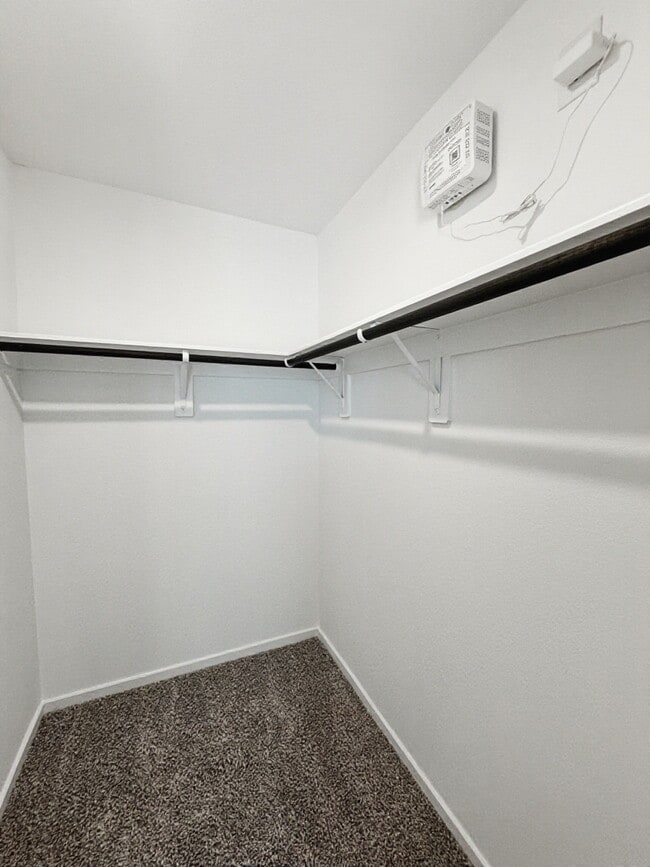 Building Photo - 3230 Coral Bluff Dr