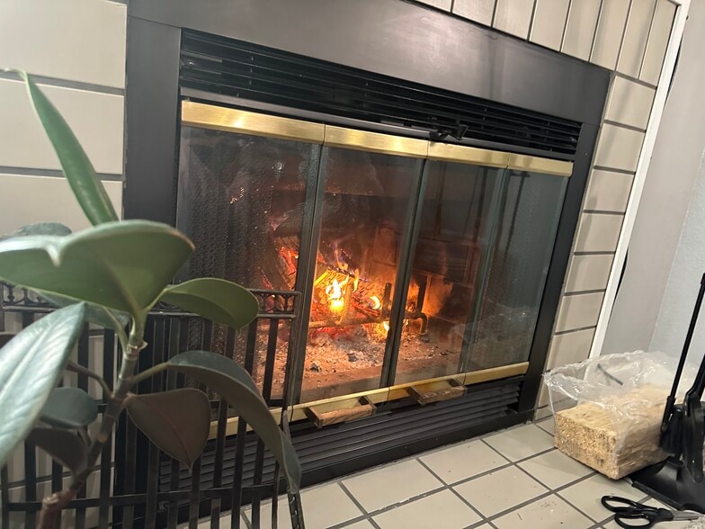 Wood burning fireplace - 932 22nd Ave S