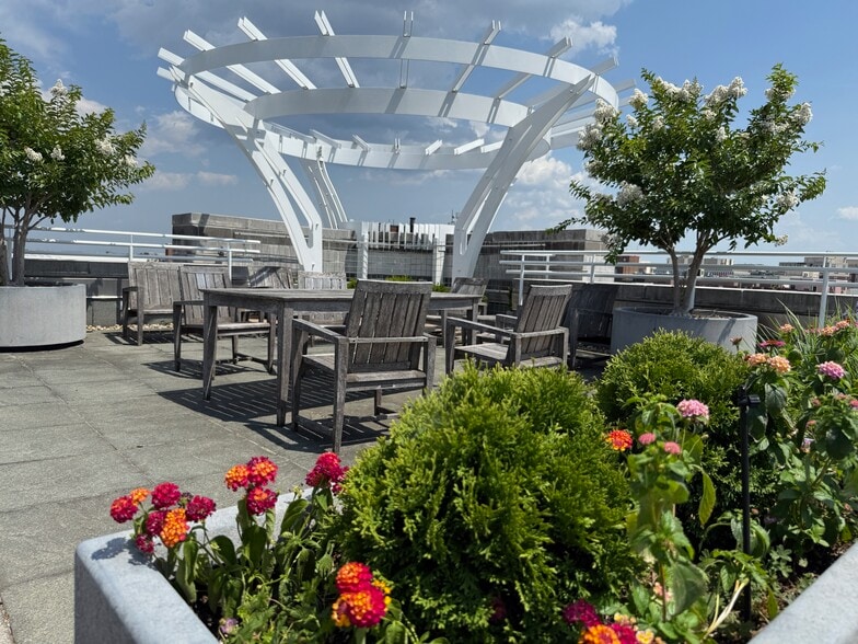 rooftop in spring/summer - 1300 13th St NW