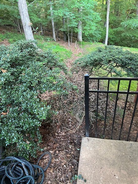 Building Photo - 4906 Wade Valley Way