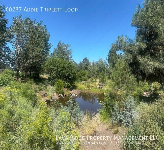 Building Photo - 60287 Addie Triplett Loop