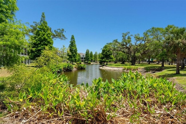 Building Photo - 4817 Tuscan Loon Dr