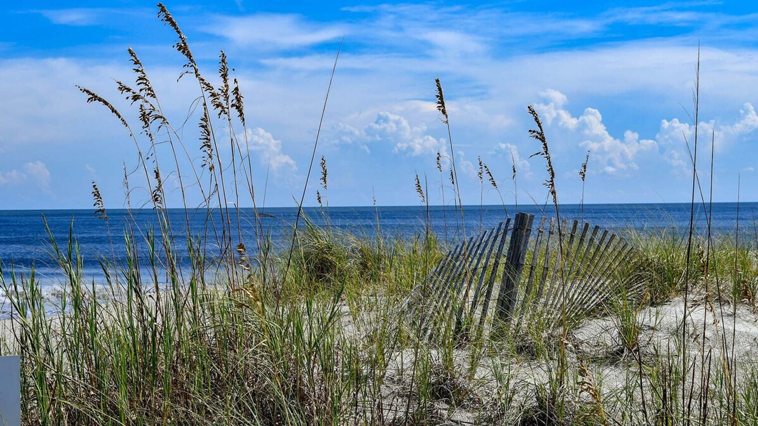 Building Photo - 1217 Debordieu Blvd