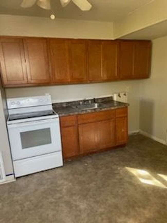 Building Photo - 2 Bed 1 Bath in Louisiana, MO