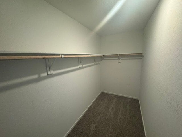 Building Photo - 335 Ice Shr Trl