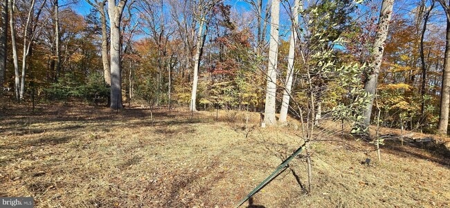 Building Photo - 7613 Locust Ln