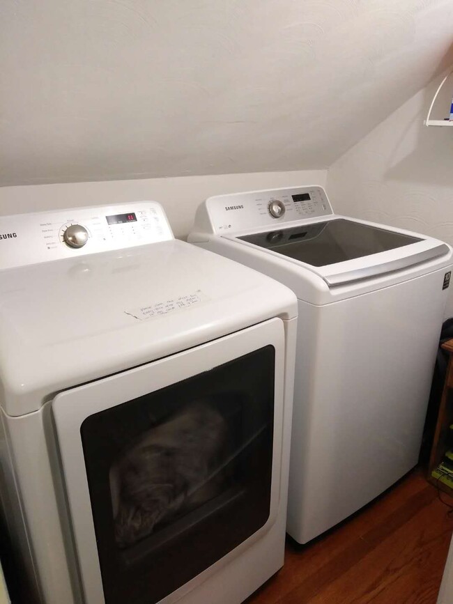 laundry room - 292 D St