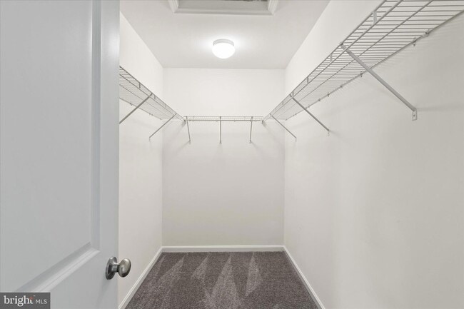 Building Photo - 5559 Trafalgar Cir