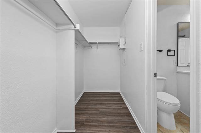 Building Photo - 3256 Torio