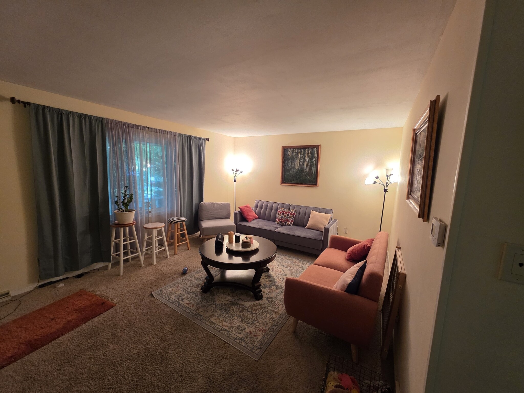 Living Room - 2905 Maple Grove Dr