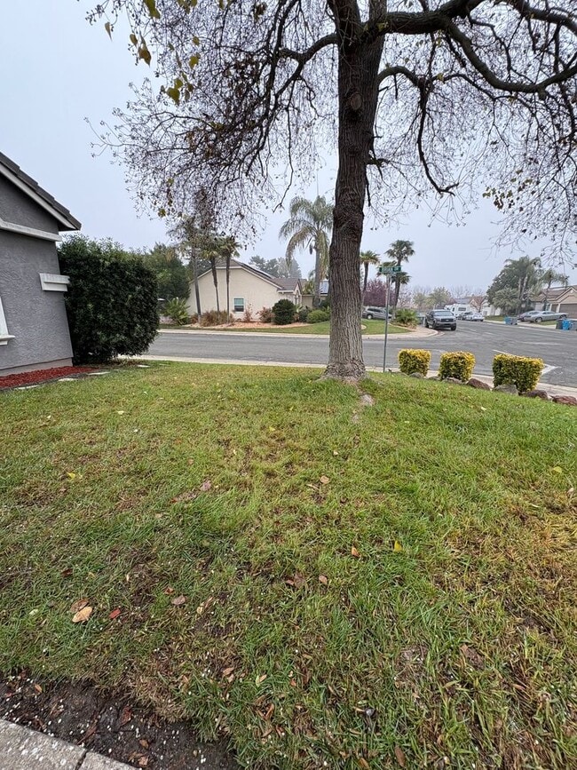 Building Photo - 3 Bedroom Home