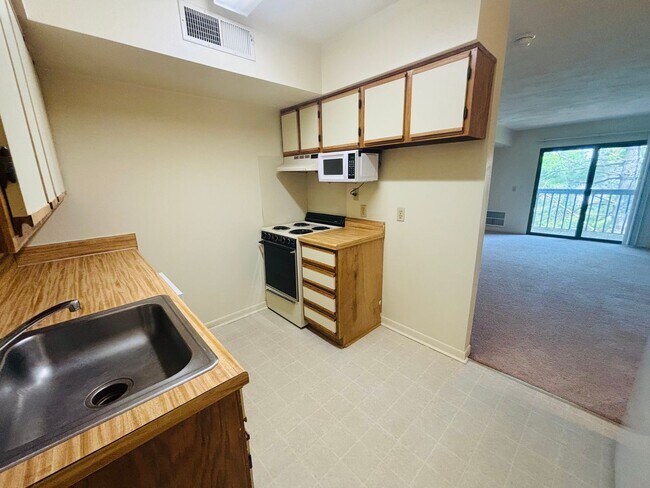 Building Photo - Efficiency 1 Bathroom Condo