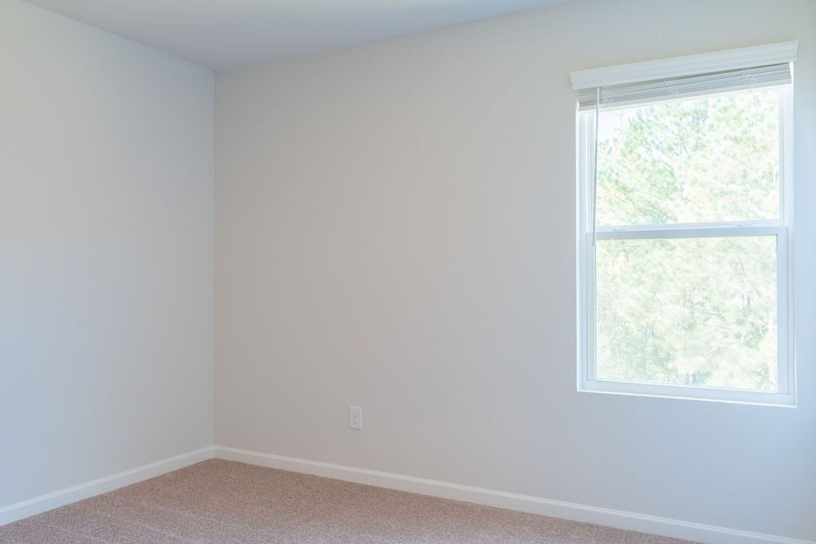 Building Photo - 3180 Alana Ct